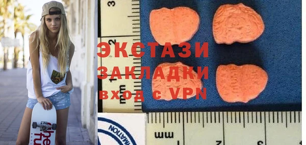 ECSTASY Богородицк